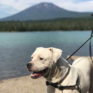 Meet your Posher, Rebecca